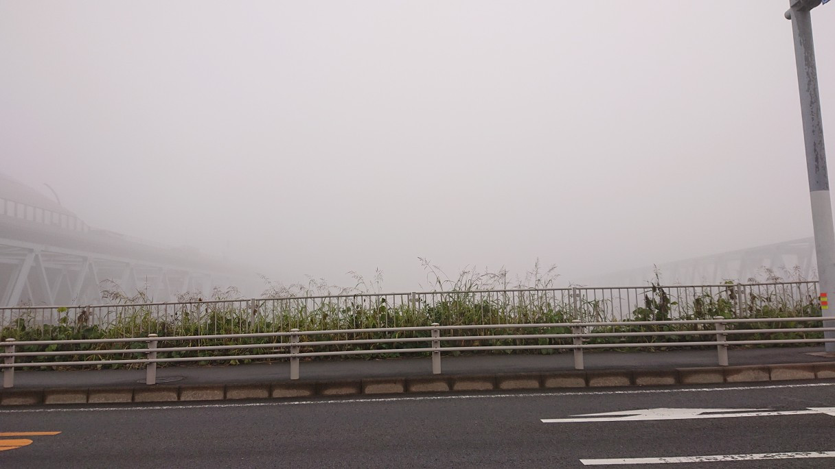 霧で橋が見えない